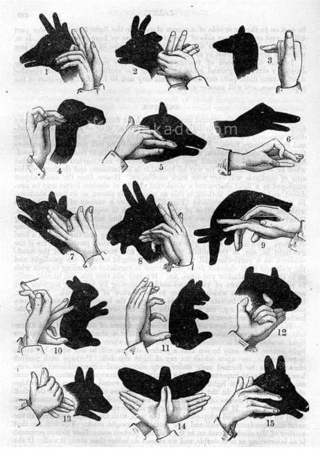 تفریحات تابستانی برای بچه ها | کودکان و تعطیلات تابستانی