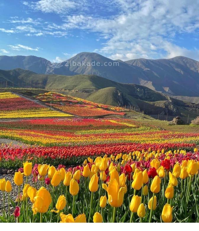 تفریحات تابستانی برای بزرگترها | سفرهای تابستانی | مکان های دیدنی | گردش های درون شهری