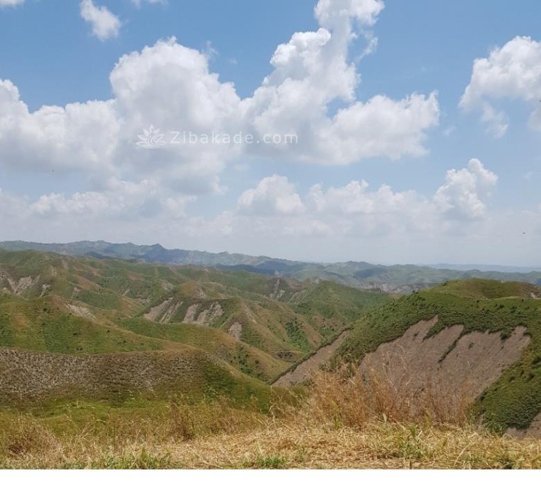 تفریحات تابستانی برای بزرگترها | سفرهای تابستانی | مکان های دیدنی | گردش های درون شهری