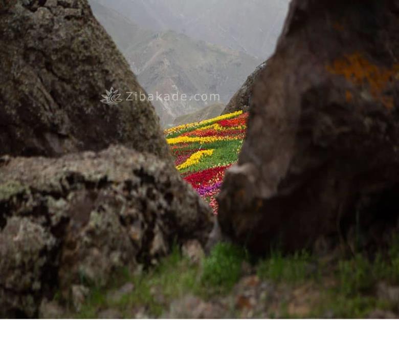 تفریحات تابستانی برای بزرگترها | سفرهای تابستانی | مکان های دیدنی | گردش های درون شهری