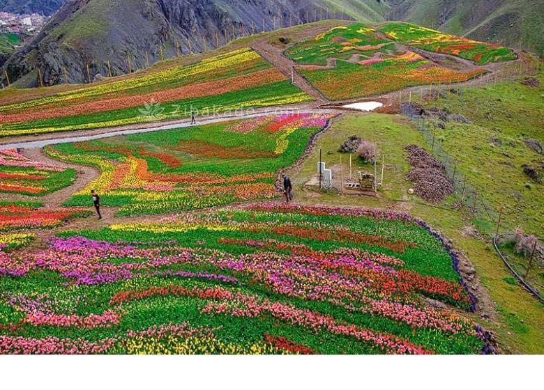 تفریحات تابستانی برای بزرگترها | سفرهای تابستانی | مکان های دیدنی | گردش های درون شهری