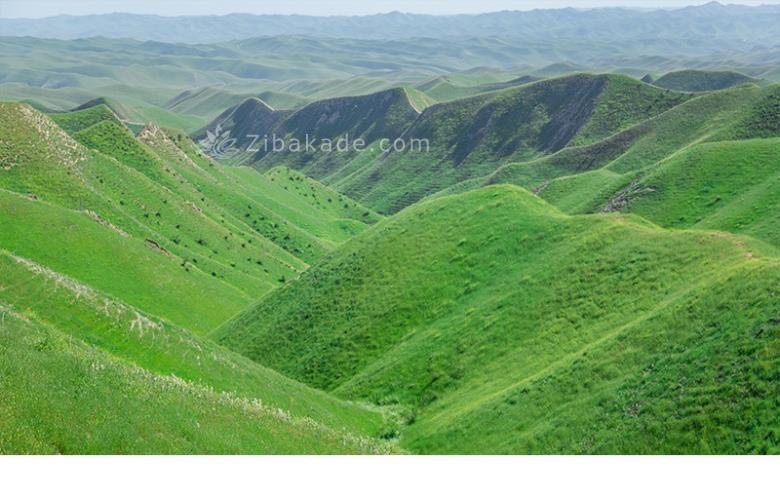 تفریحات تابستانی برای بزرگترها | سفرهای تابستانی | مکان های دیدنی | گردش های درون شهری