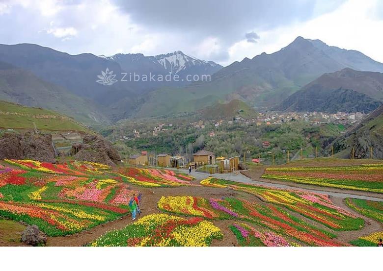 تفریحات تابستانی برای بزرگترها | سفرهای تابستانی | مکان های دیدنی | گردش های درون شهری