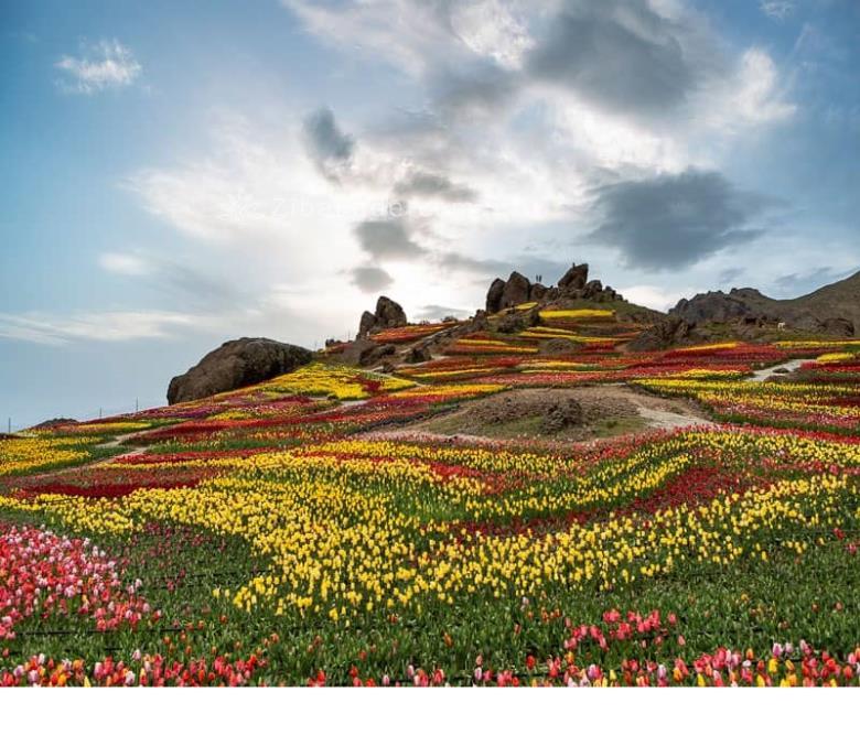 تفریحات تابستانی برای بزرگترها | سفرهای تابستانی | مکان های دیدنی | گردش های درون شهری