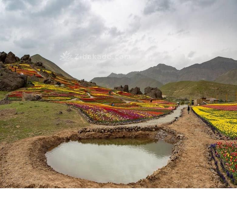 تفریحات تابستانی برای بزرگترها | سفرهای تابستانی | مکان های دیدنی | گردش های درون شهری