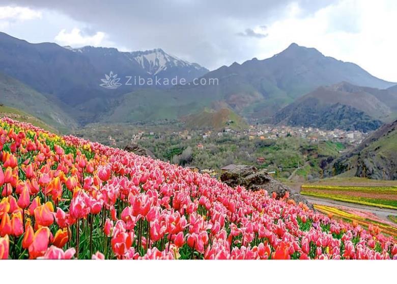 تفریحات تابستانی برای بزرگترها | سفرهای تابستانی | مکان های دیدنی | گردش های درون شهری