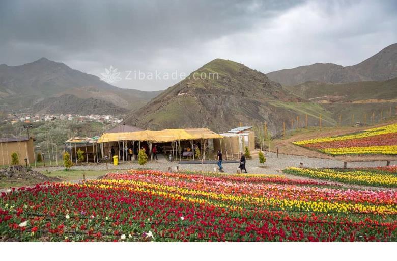 تفریحات تابستانی برای بزرگترها | سفرهای تابستانی | مکان های دیدنی | گردش های درون شهری