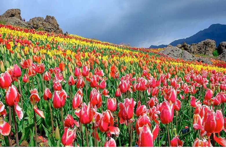 تفریحات تابستانی برای بزرگترها | سفرهای تابستانی | مکان های دیدنی | گردش های درون شهری