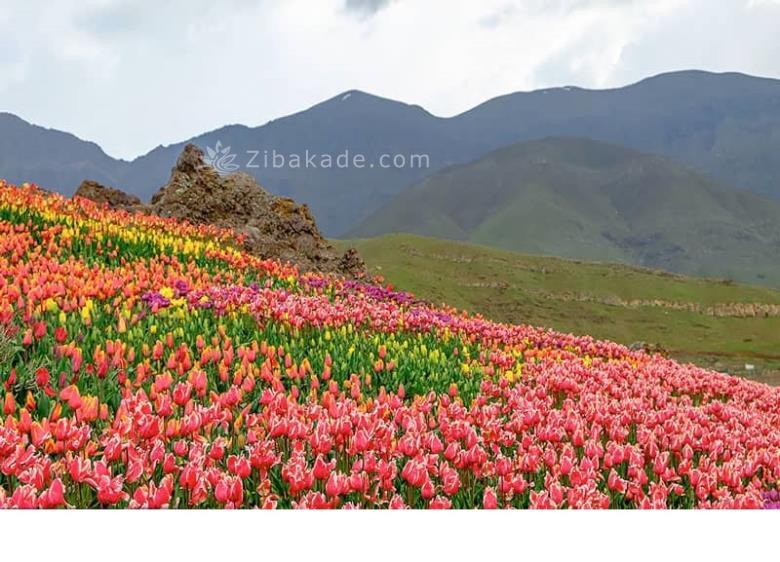 تفریحات تابستانی برای بزرگترها | سفرهای تابستانی | مکان های دیدنی | گردش های درون شهری