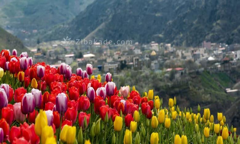 تفریحات تابستانی برای بزرگترها | سفرهای تابستانی | مکان های دیدنی | گردش های درون شهری