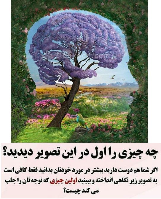 تست روانشناسی