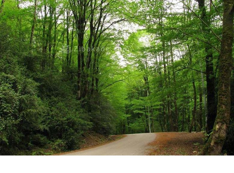 تفریحات تابستانی برای بزرگترها | سفرهای تابستانی | مکان های دیدنی | گردش های درون شهری