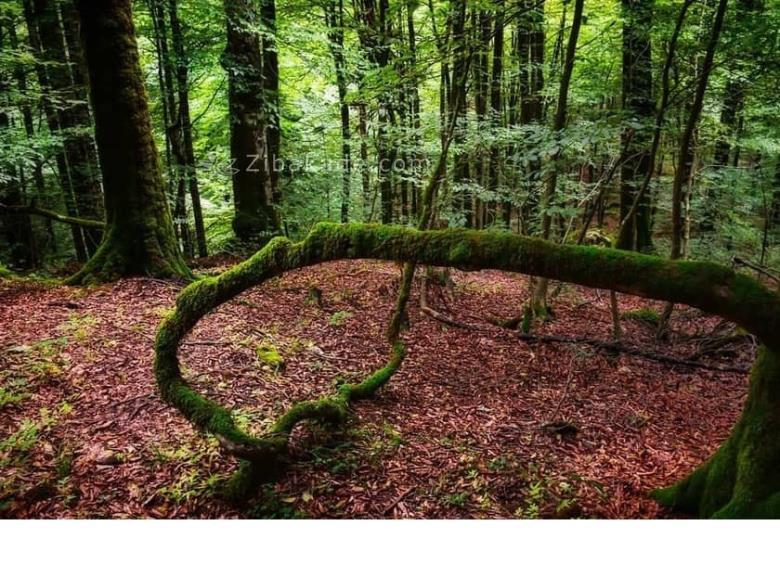 تفریحات تابستانی برای بزرگترها | سفرهای تابستانی | مکان های دیدنی | گردش های درون شهری