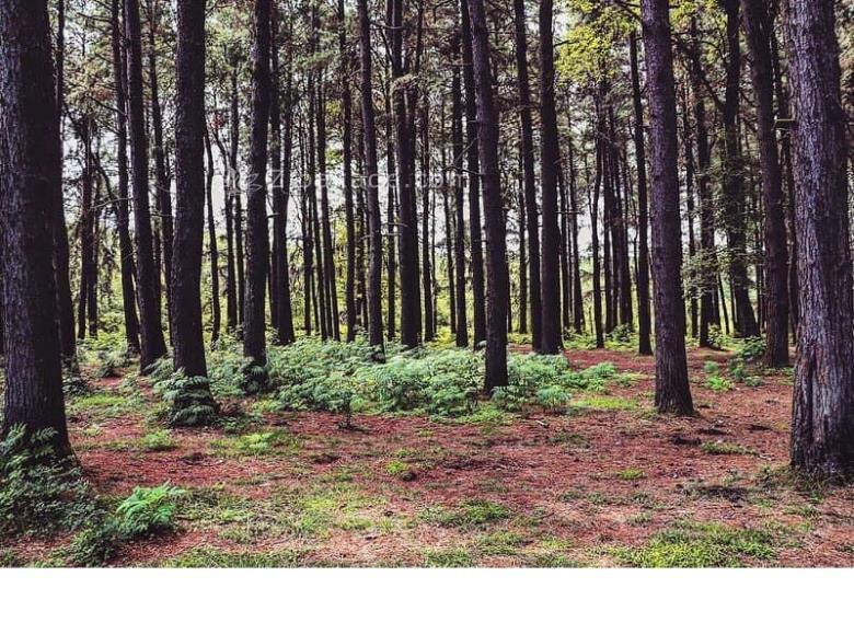 تفریحات تابستانی برای بزرگترها | سفرهای تابستانی | مکان های دیدنی | گردش های درون شهری