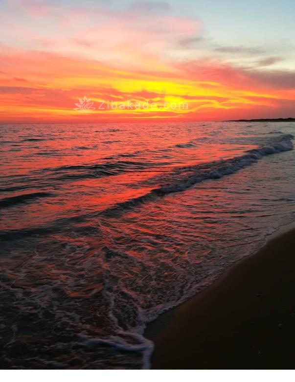 تفریحات تابستانی برای بزرگترها | سفرهای تابستانی | مکان های دیدنی | گردش های درون شهری