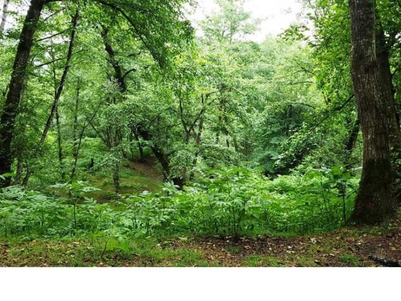 تفریحات تابستانی برای بزرگترها | سفرهای تابستانی | مکان های دیدنی | گردش های درون شهری