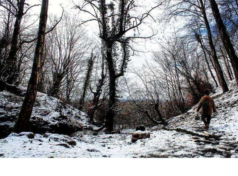 تفریحات تابستانی برای بزرگترها | سفرهای تابستانی | مکان های دیدنی | گردش های درون شهری