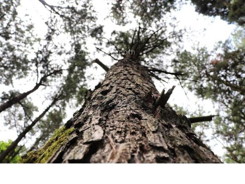 تفریحات تابستانی برای بزرگترها | سفرهای تابستانی | مکان های دیدنی | گردش های درون شهری