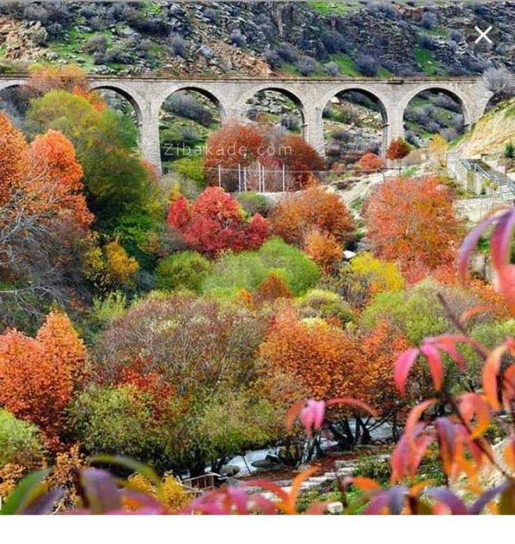 تفریحات تابستانی برای بزرگترها | سفرهای تابستانی | مکان های دیدنی | گردش های درون شهری