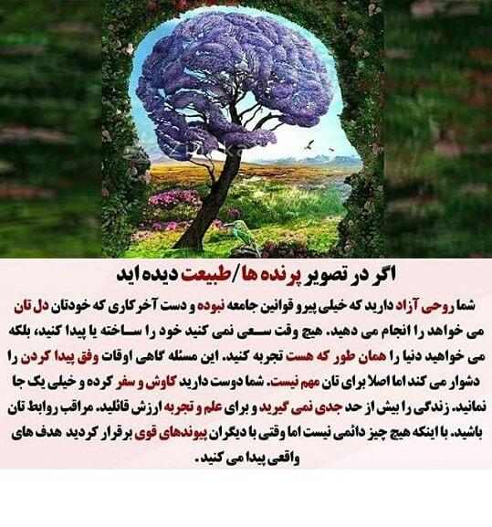 تست روانشناسی