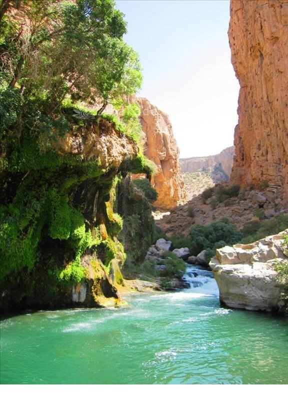 تفریحات تابستانی برای بزرگترها | سفرهای تابستانی | مکان های دیدنی | گردش های درون شهری