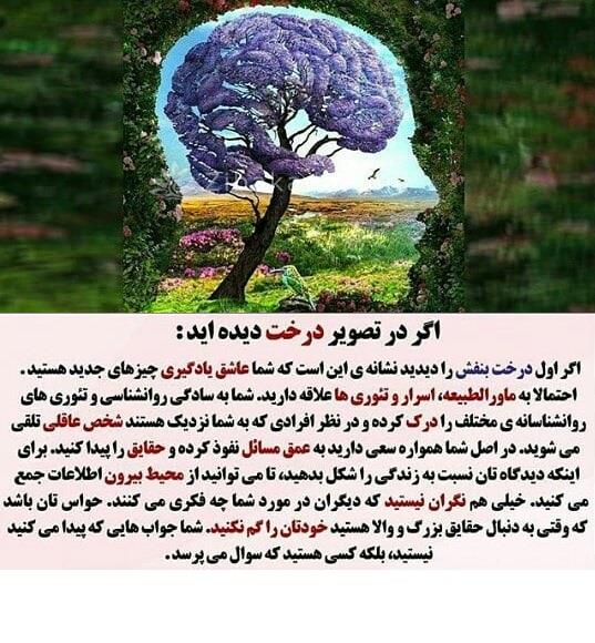 تست روانشناسی