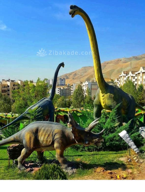 تفریحات تابستانی برای بچه ها | کودکان و تعطیلات تابستانی