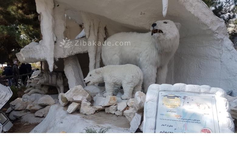 تفریحات تابستانی برای بچه ها | کودکان و تعطیلات تابستانی