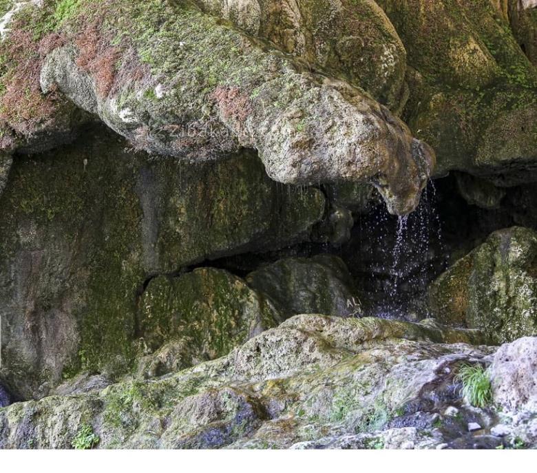 تفریحات تابستانی برای بزرگترها | سفرهای تابستانی | مکان های دیدنی | گردش های درون شهری