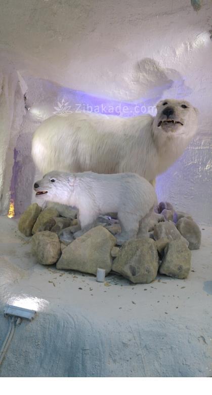 تفریحات تابستانی برای بچه ها | کودکان و تعطیلات تابستانی