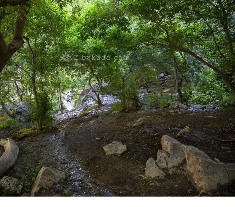 تفریحات تابستانی برای بزرگترها | سفرهای تابستانی | مکان های دیدنی | گردش های درون شهری