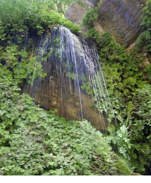 تفریحات تابستانی برای بزرگترها | سفرهای تابستانی | مکان های دیدنی | گردش های درون شهری