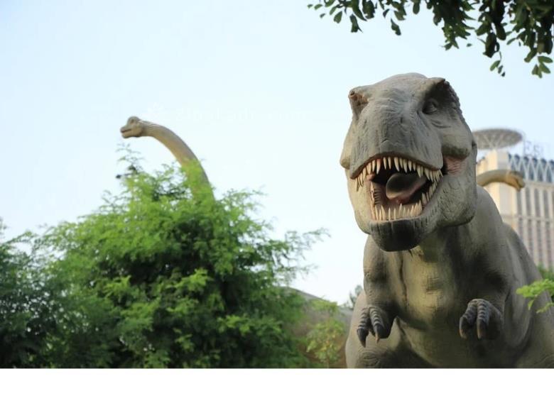 تفریحات تابستانی برای بچه ها | کودکان و تعطیلات تابستانی