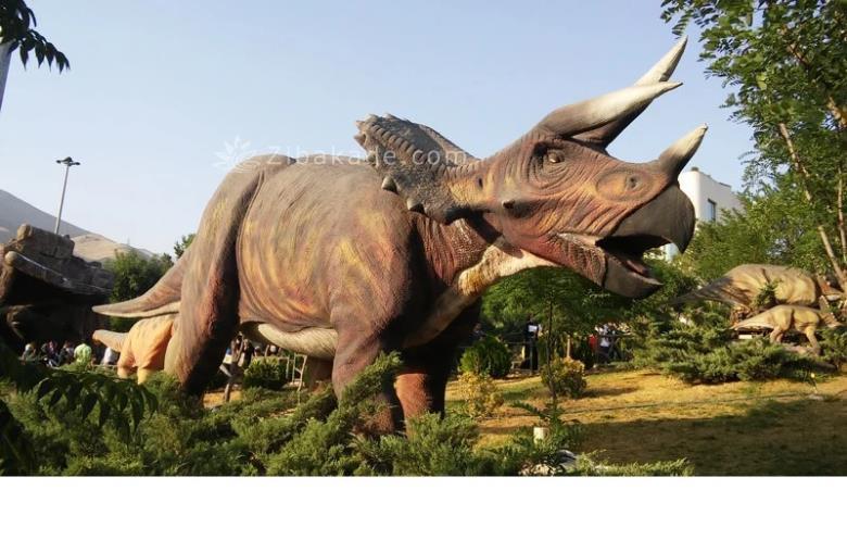 تفریحات تابستانی برای بچه ها | کودکان و تعطیلات تابستانی