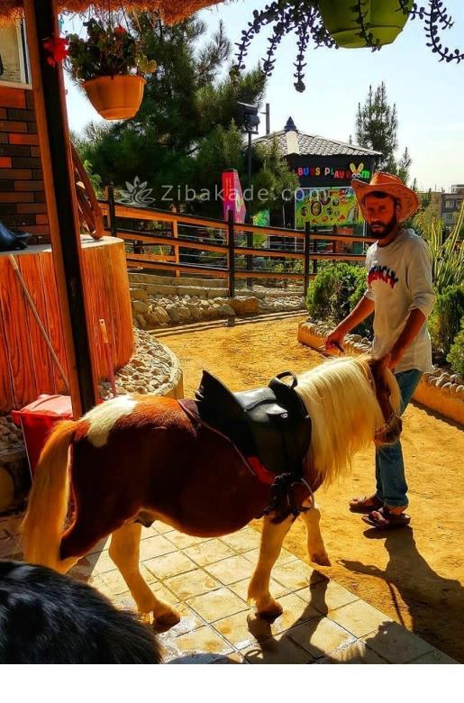 تفریحات تابستانی برای بچه ها | کودکان و تعطیلات تابستانی