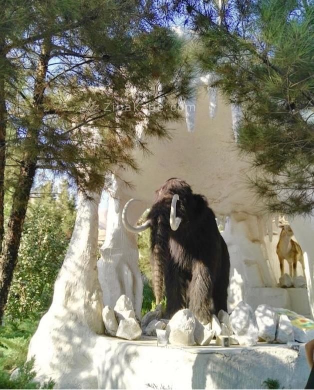 تفریحات تابستانی برای بچه ها | کودکان و تعطیلات تابستانی