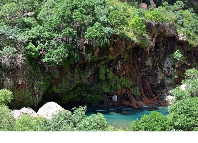 تفریحات تابستانی برای بزرگترها | سفرهای تابستانی | مکان های دیدنی | گردش های درون شهری