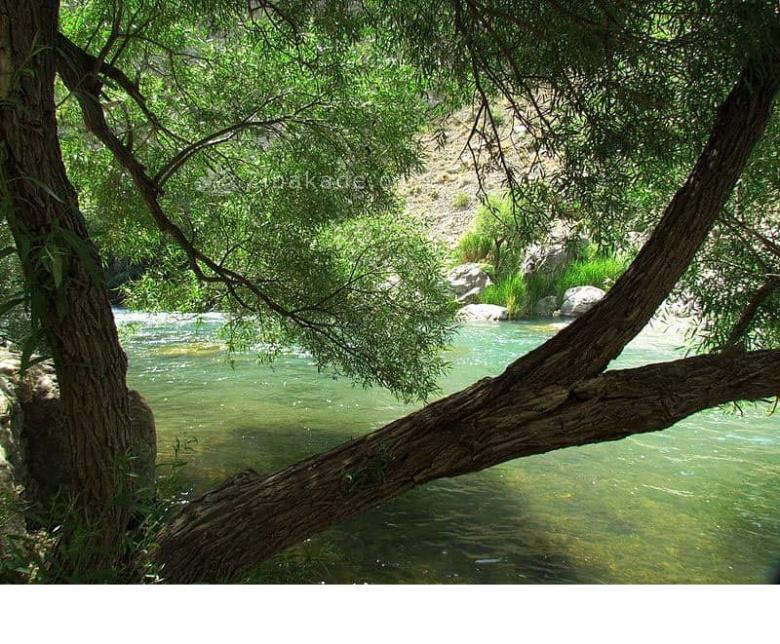 تفریحات تابستانی برای بزرگترها | سفرهای تابستانی | مکان های دیدنی | گردش های درون شهری