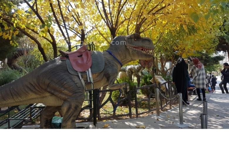 تفریحات تابستانی برای بچه ها | کودکان و تعطیلات تابستانی