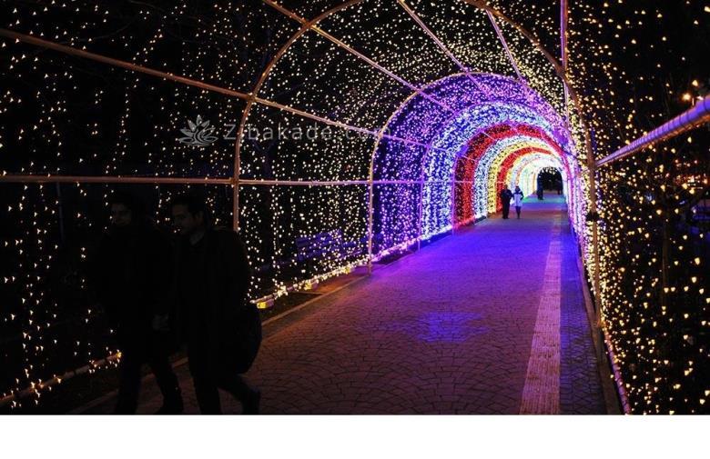 تفریحات تابستانی برای بزرگترها | سفرهای تابستانی | مکان های دیدنی | گردش های درون شهری