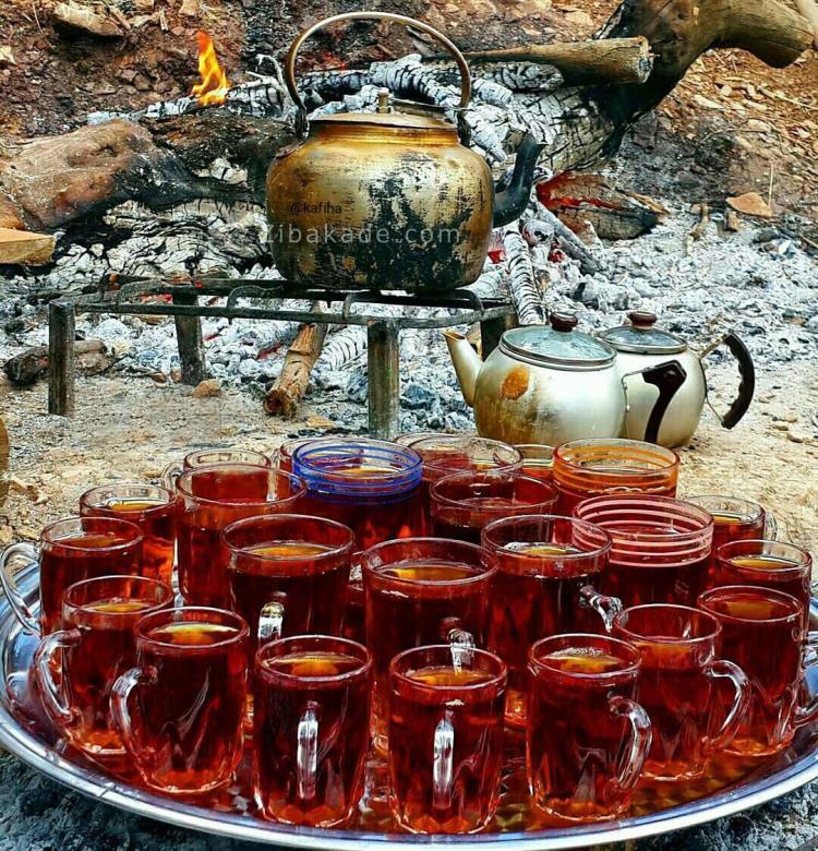 كافه گفت وگو ...