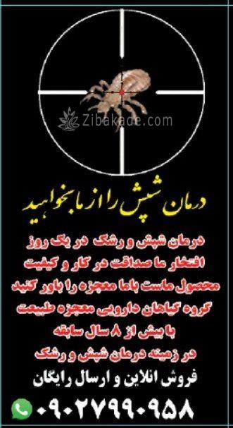 درمان قطعی وتضمینی شپش مو ۱۰۰%.حتماحتما بخونید