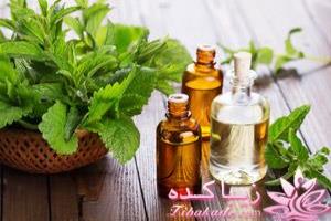 پاکسازی بدن از سموم و آلودگی ها توسط گیاهان