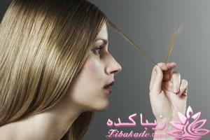 جلوگیری از مو خوره 