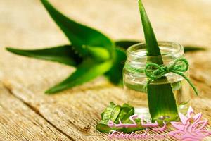 خواص مهم ژل آلوئه ورا 