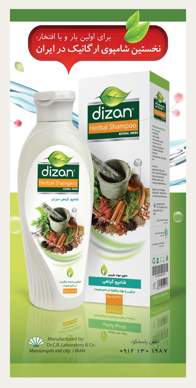 di1.jpg (650&times;1359)